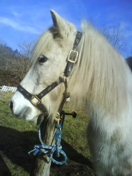 ATHOS