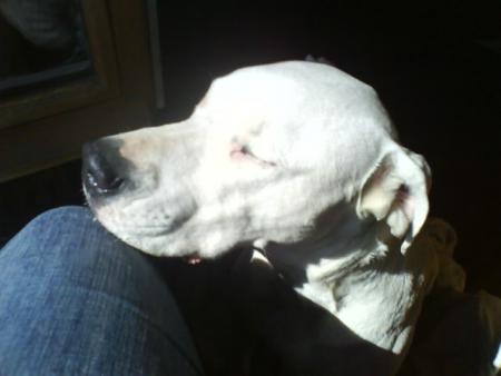 JESSY